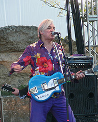 Robyn Hitchcock