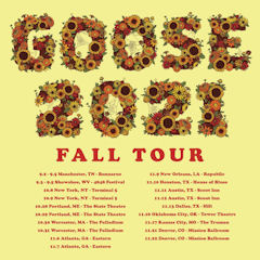 Goose Winter Tour poster