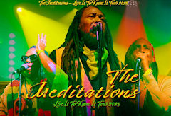 The Meditations Flamingo Jul 25
